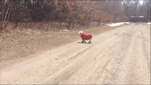 Having a Run