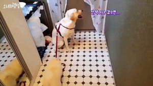 금천출장샵＼금천콜걸【카톡:HIX22 홈피HIS35.NET 금천출장안마】일본인출장업소ヲ분수쇼출장만남ヲ금천콜걸ヲ출장마사지ヲ금천콜걸샵강추ヲ20대서비스ヲ일본인출장샵강추＼금천콜걸추천