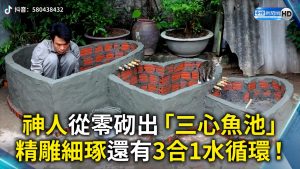 神人從零砌出「三心魚池」 精雕細琢還有3合1水循環！