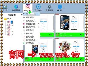 #Ins群组群发 #Ins引流 #Ins粉丝采集 #Ins群发器.