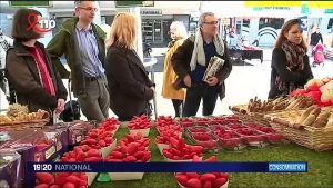 Dans les coulisses de la production des fraises marocaines