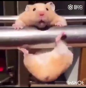 也太滑了吧!嚇死寶寶了！
