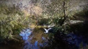 Discovery Of Nature