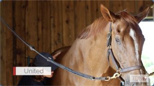 Fan-Favorite United An Ambassador for Aftercare