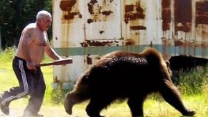 15 Curious images that only happen in Russia