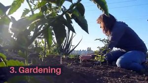 7 hobbies with health benefits