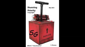 STUNNING PRIORITY (INST)