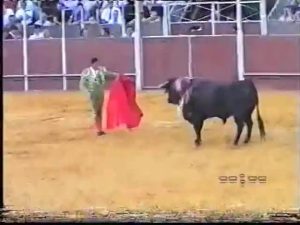 CHAPURRA tentando