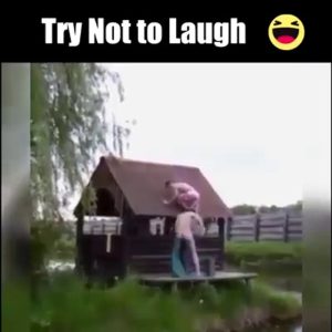 This must be crazy