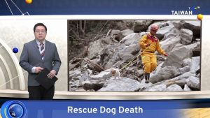 Rescue Dog 'Wilson' Died From Accidental Fall During Training