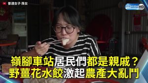 嶺腳車站居民們都是親戚？野薑花水餃激起農產大亂鬥