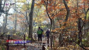 A Sky Garden in Seolak_The Dinosaur Ridge-E020-20161115