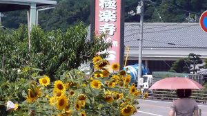 2014-7四國