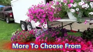 MAY 3 2025 Farmers Market Dixon IL 4 K Film