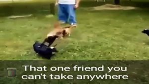 That one friend you can't take anywhere