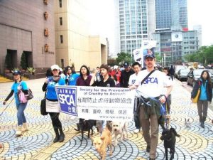 Animal Rescuer Stops HIT AND RUN DRIVER