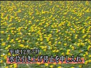 NPOが社会を変える-霞ヶ浦浄化事業2