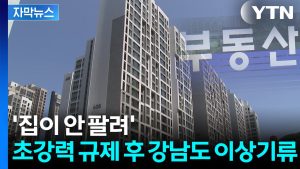 [자막뉴스] "대출 자체가 안 나와"...강남이 반토막 / YTN
