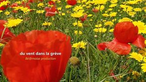 Du vent dans la grève
