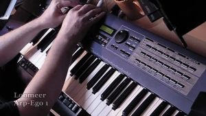 Loomeer - Arp-Ego 1