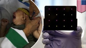 Have the Zika virus? This experimental test can tell you within the hour