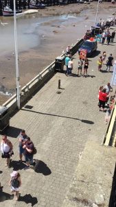 Des goélands volent de la nourriture à des touristes