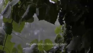 Relaxation In 30Mins: Music for Happiness, Calm music, Music for Meditation, Affirmation, Healing