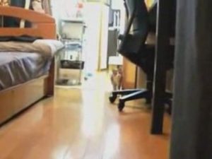 CHAT NINJA =p