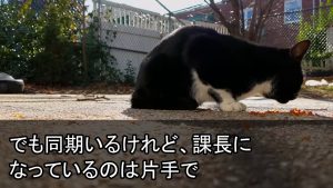 【スカッとする話】13年間、隠れてお隣さんと浮気してた夫が入浴中に意識不明にお隣さん「早く救急車呼んで！どんだけ鈍臭いのよw」私「」夫と隣人を横目に無言で出て行った結果w