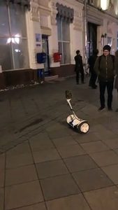 Un hibou fait du gyropode