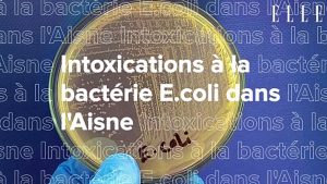 Intoxications à la bactérie E.coli dans l'Aisne : une famille intente une action en responsabilité contre l'État