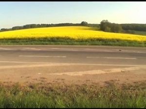 2011: L'ESPECE D'ODYSSEE