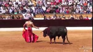 Feria_Olivenza_novillada_09_mar