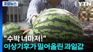 "수박 너마저!"...이상기후가 밀어올린 과일값 / YTN