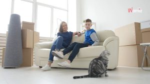 Un chat disparait lors d’un déménagement : trois semaines plus tard, sa famille retrouve sa trace dans un lieu improbable