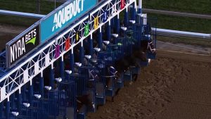 Spendthrift - Mo Donegal 2