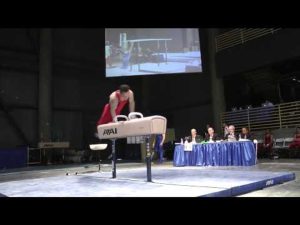 Spencer Johnson - Pommel Horse - 2012 Winter Cup Prelims