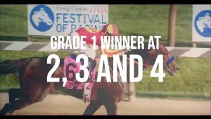 Gainesway - McKinzie 2