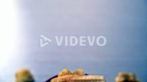 Crispy Banana Chips - fried or baked sliced banana