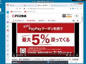 bcam FC2動画正常仕様