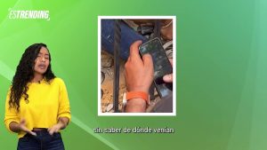 Gatito fue rescatado luego de estar atrapado en una tubería