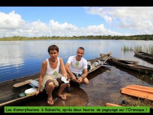 Deux diamorphosiens en Amazonie