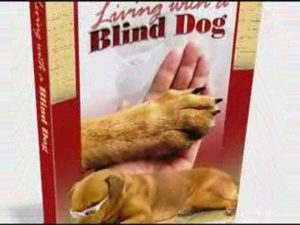 Is Your Dog Going Blind? Caring For Blind Dogs.