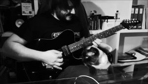 Cat Is No Fan of Rock and Roll