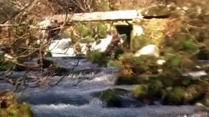 (Río Barbeira A Lama) Pozo Negro