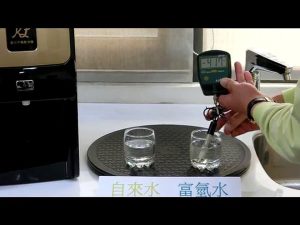 003負電位抗氧化實驗