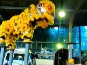 Lion dance, Yellow 2011 10 13