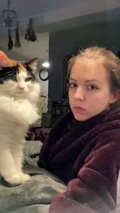 Funny cat dog animals compilation 8 animal videos on Instagram Tiktok