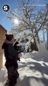 Cat Disappears in Deep Snow in Davos