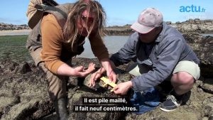 Les secrets d'Arnaud pour pêcher le homard